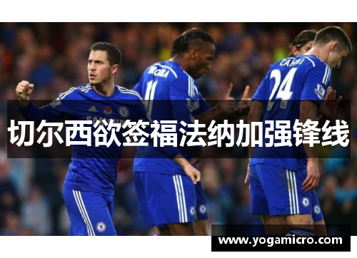 切尔西欲签福法纳加强锋线